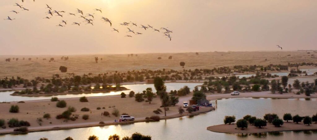 al qudra lakes Dubai visit